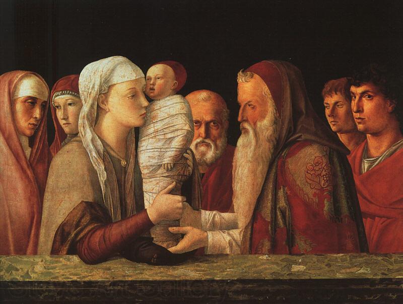 Giovanni Bellini The Presentation at the Temple Norge oil painting art